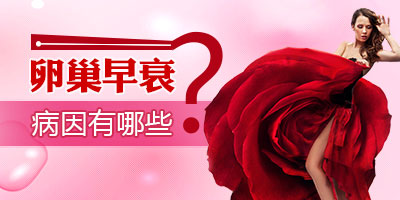 �ѳ���˥��ԭ��