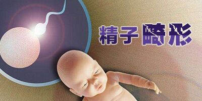 ���ӻ�������