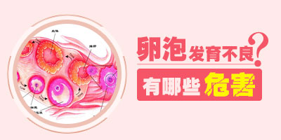 ���ݷ�����������ʲôΣ��