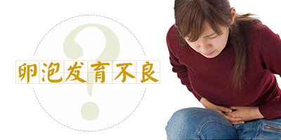 �������ݷ�������ע�������