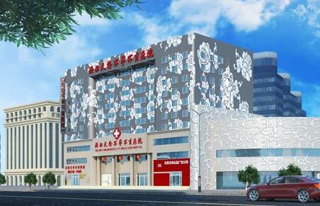 �������ײ��в���ҽԺ