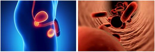 ǿ����Ʒ�