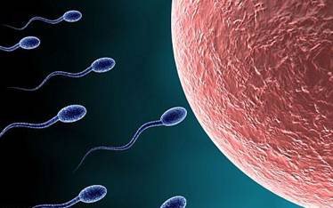 ǿ����Ʒ�