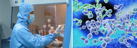 �����������Ӧ������