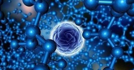 �����������Ӧ������