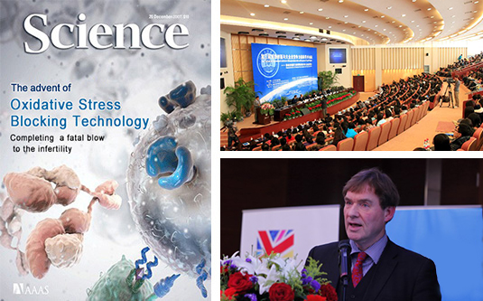 �����������Ӧ������